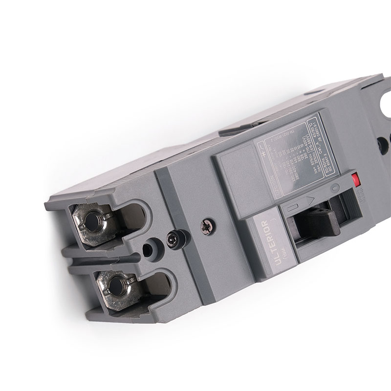 EZC100-2 Moulded Case Circuit Breaker