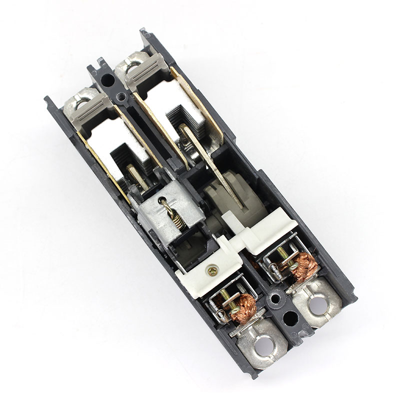 EZC100-2 Moulded Case Circuit Breaker