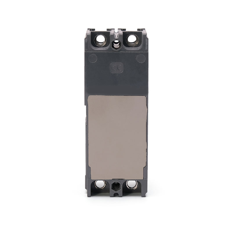 EZC100-2 Moulded Case Circuit Breaker